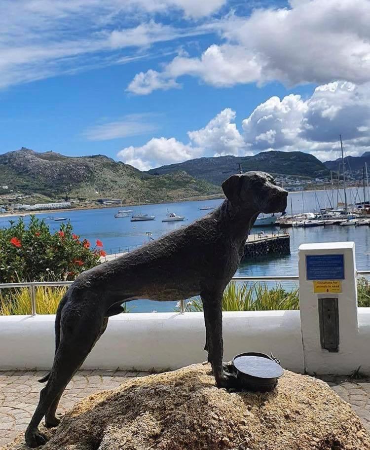 Eindelik Villa Simon's Town Ngoại thất bức ảnh